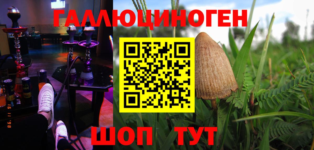 Галлюциногенные грибы Psilocybine cubensis Сочи